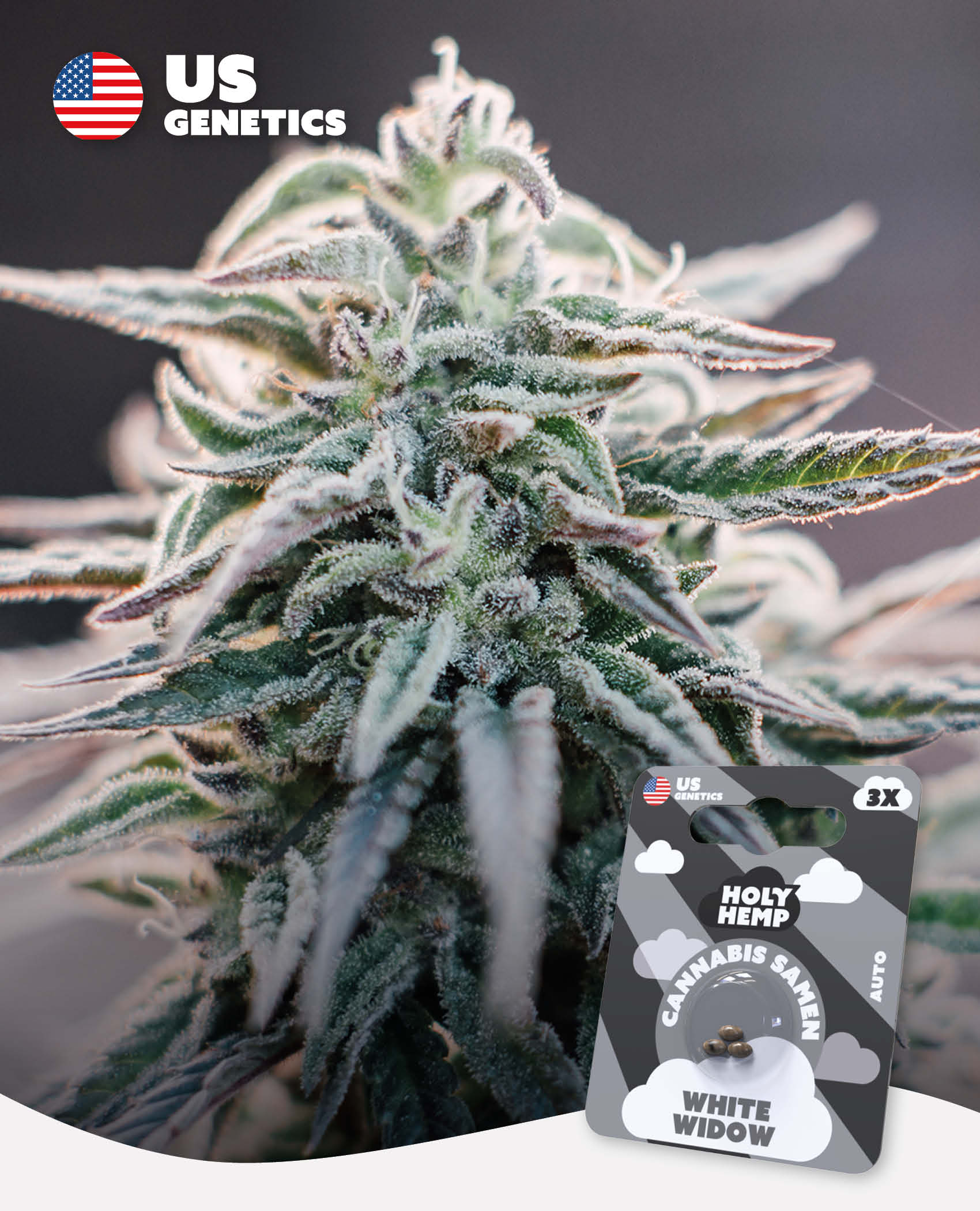 White Widow - Cali Seeds