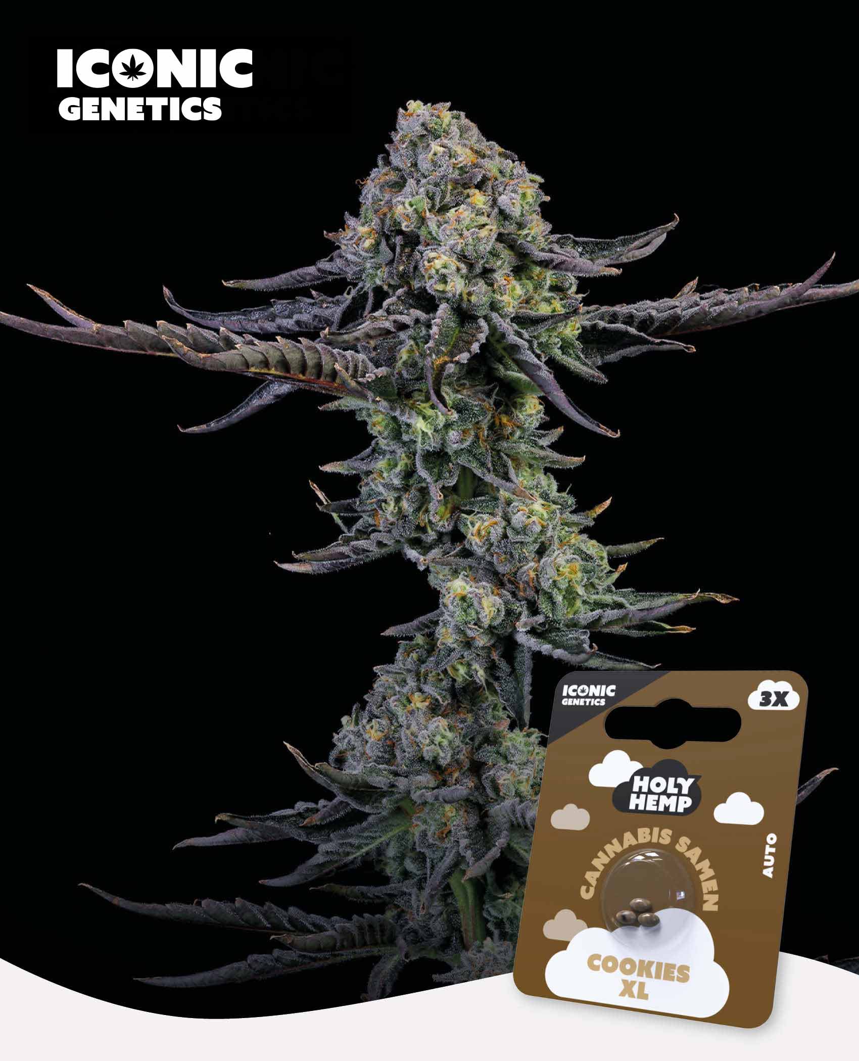 【235】HHBD Cookie 2枚入 3袋set H4CBH CBD 235様専用】HHBD Cookie 2枚入 3袋set H4CBH CBD - メルカリ