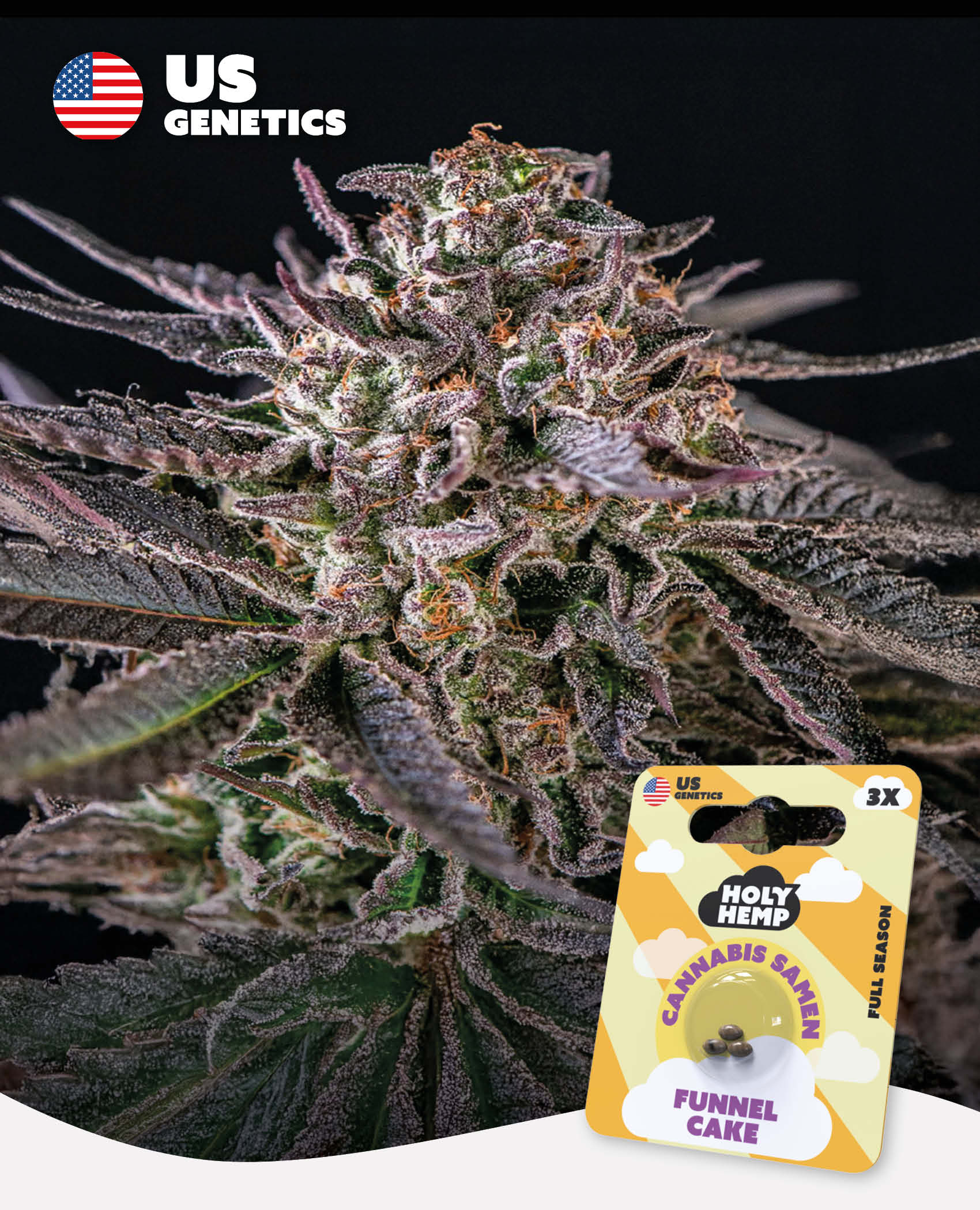 Funnel Cake - Cali Seeds