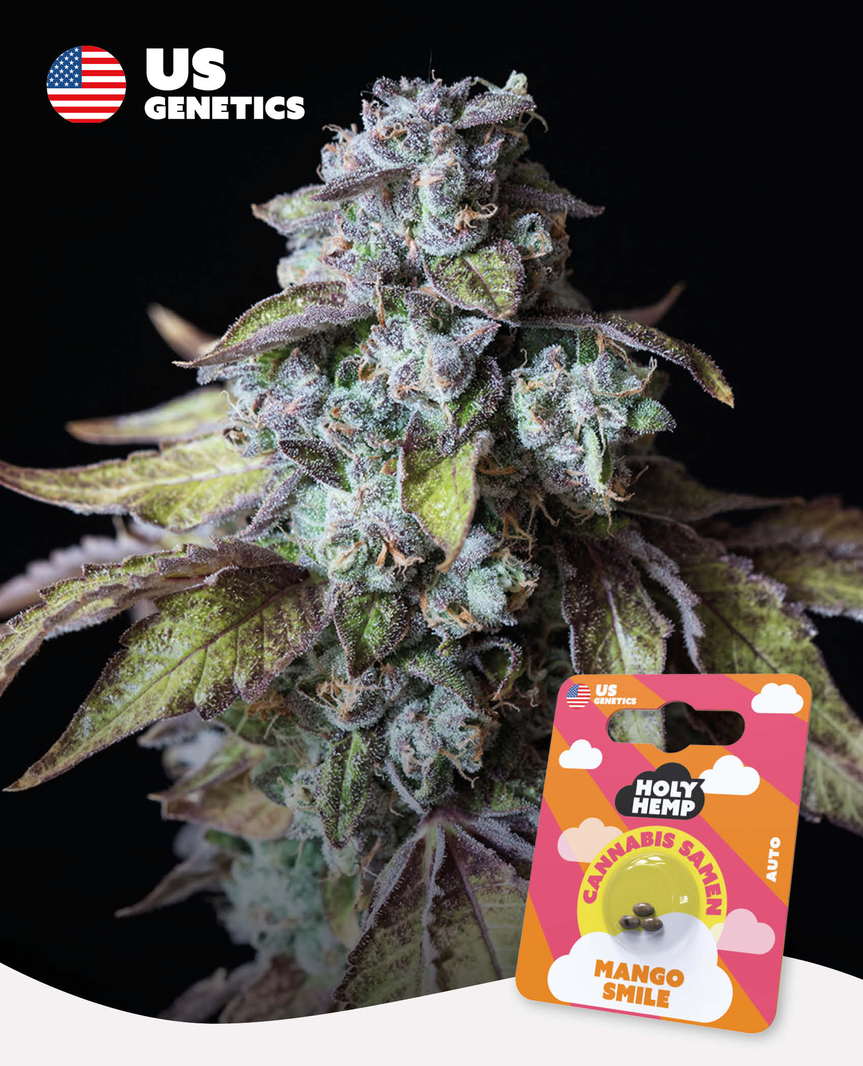 Mango Smile - Cali Seeds