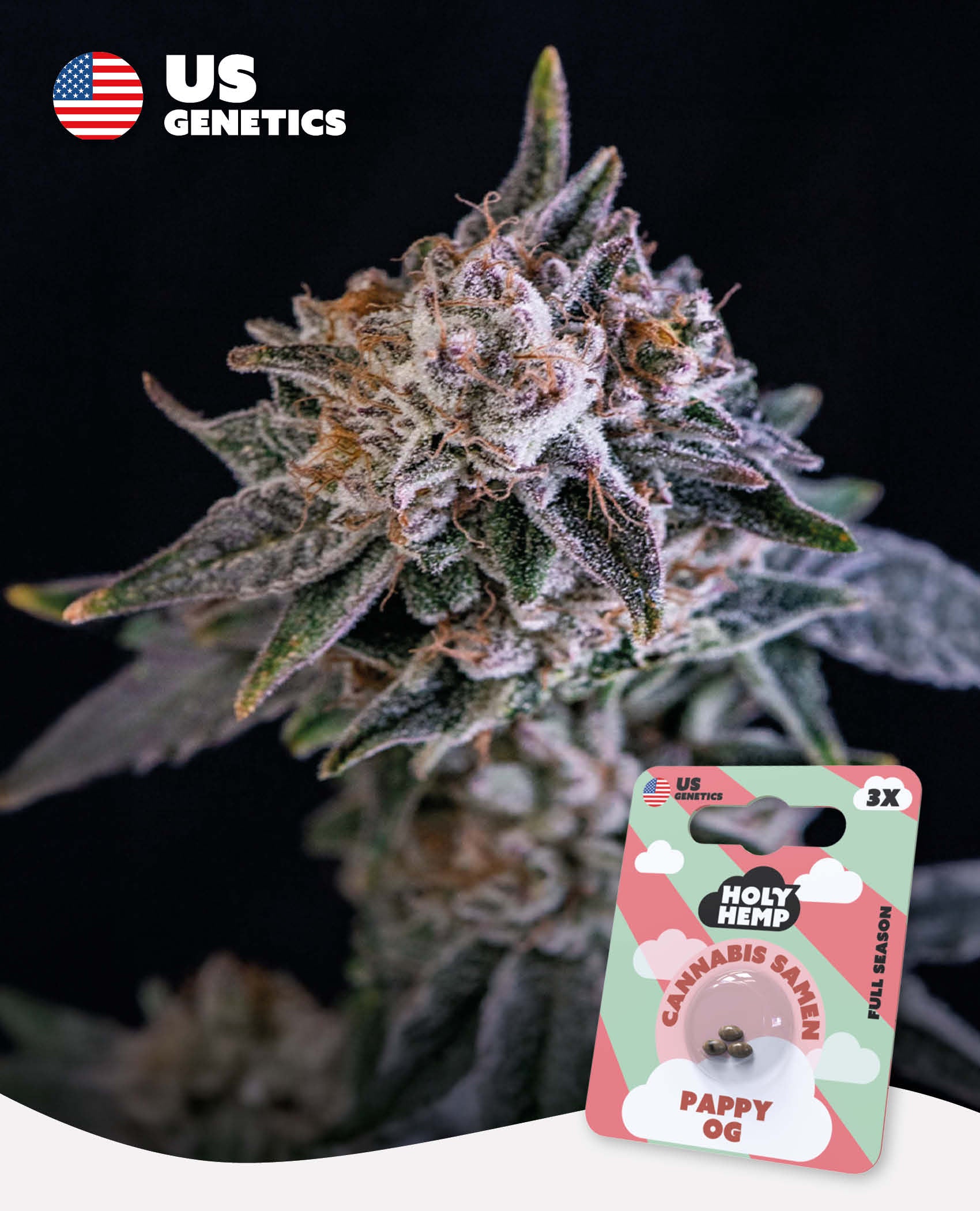 Pappy OG - Cali Seeds