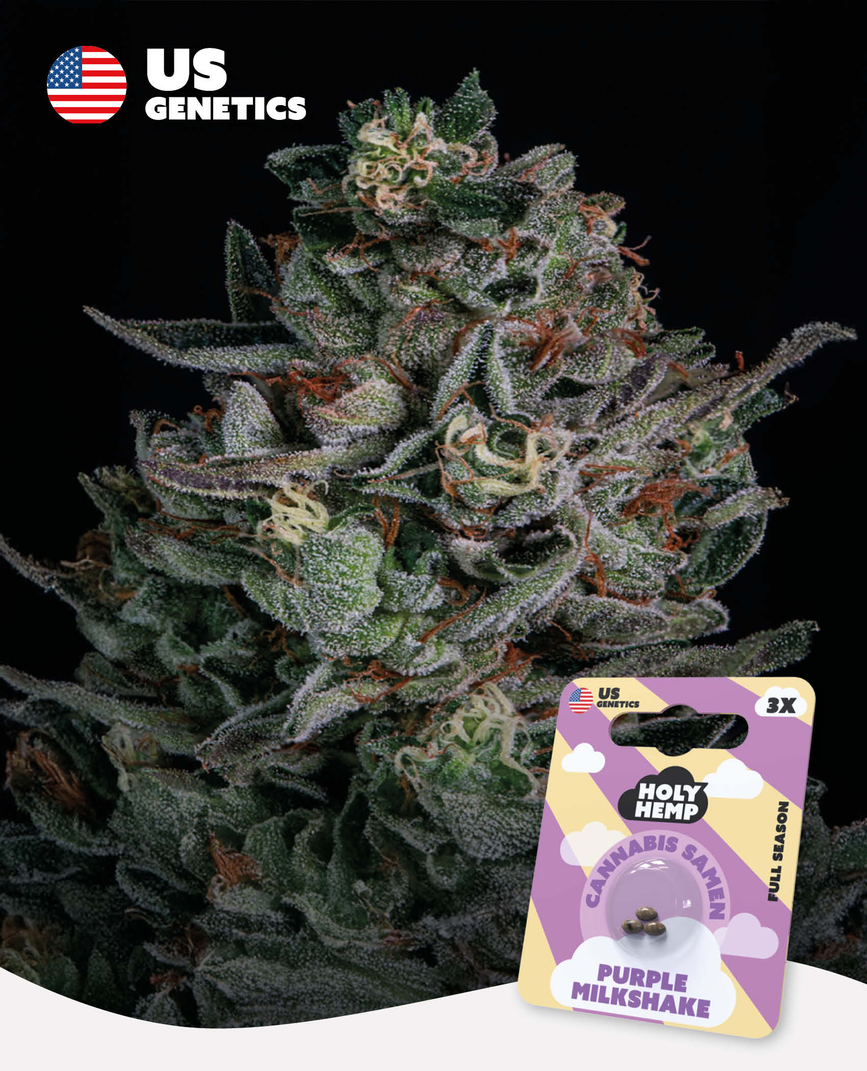 Purple Milkshake - Cali Seeds