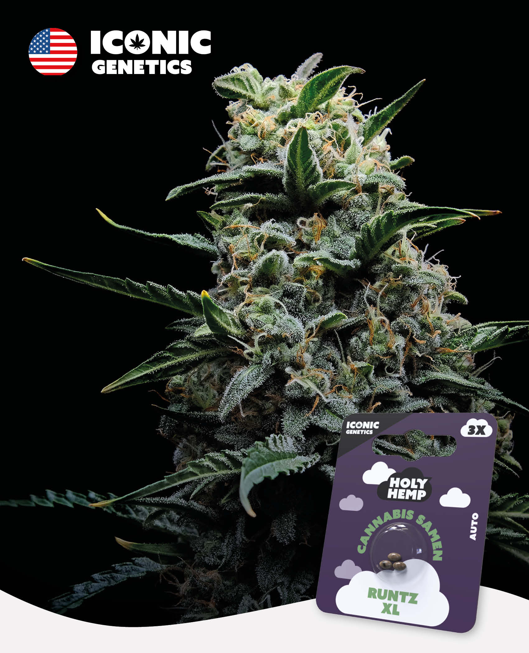 Runtz XL - Iconic Seeds