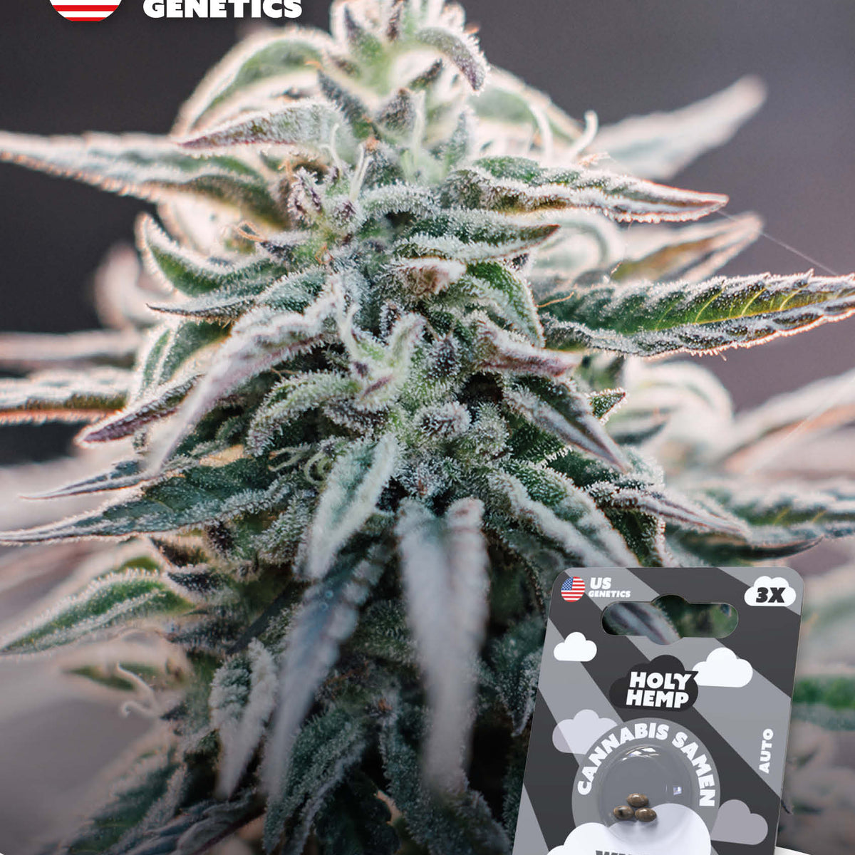 White Widow Cannabis Seeds
